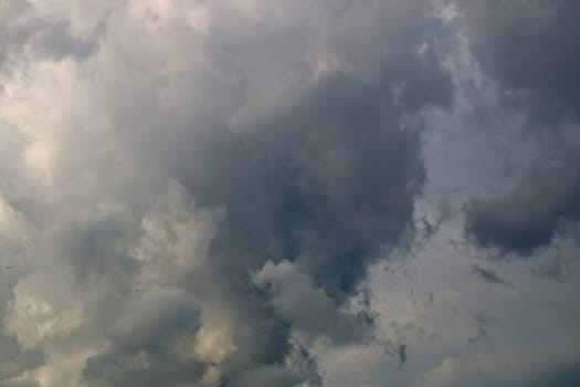 Thick and heavy storm clouds fill the sky in southwest florida.