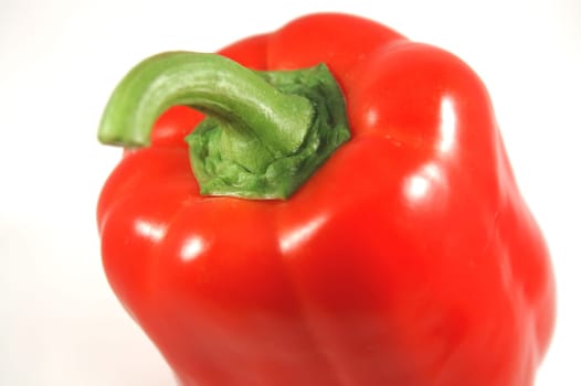 The close up picture of isolated paprica over white