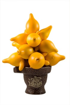 Ornamental solanum mammosum plant, representing lucky symbols in Chinese New Year, isolated over white