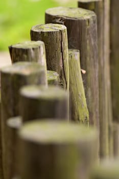 The close up view of wooden beams