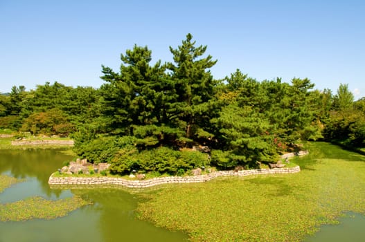 Garden with trees and pond