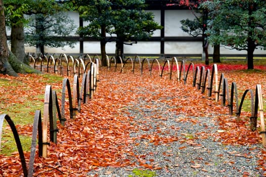 The back yard of Japanese garden, in fall