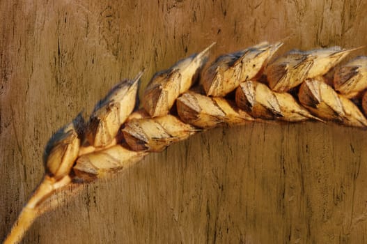 barley