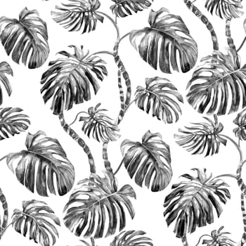 Seamless pattern in black and white monochrome shades with monstera flower painted in watercolor on a white background for textile design