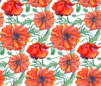 watercolor seamless pattern with red poppies on a white background for surface design and textiles as well as stationery