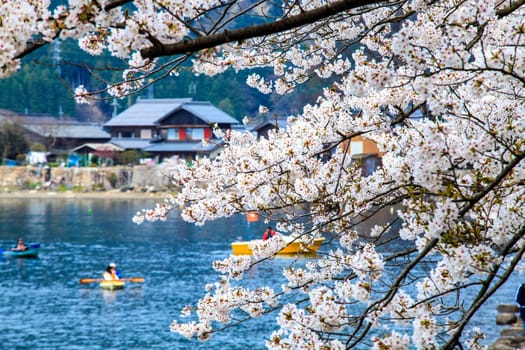 Shiga Prefecture, Japan - April 14, 2013