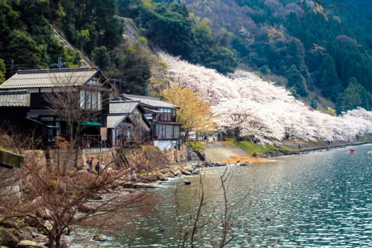 Shiga Prefecture, Japan - April 14, 2013