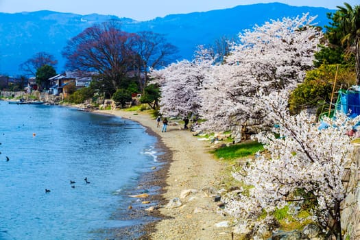 Shiga Prefecture, Japan - April 14, 2013