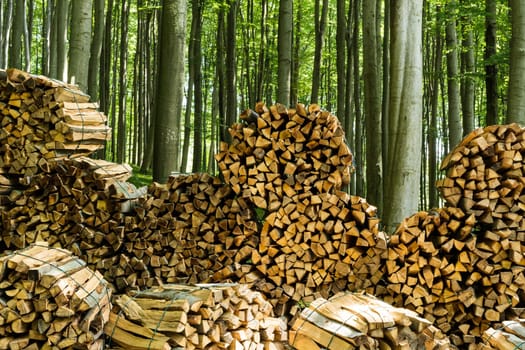 Firewood in the forest,stacked logs in nature