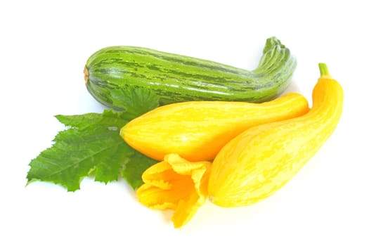 yellow and green zucchini with a leaf and a flower freating against a white background