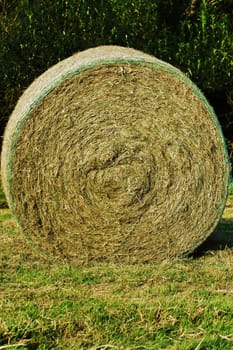 Large straw bale