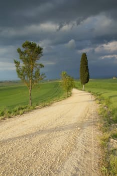 Dirty road winding through the Tuscan countryside. Storm dark sky in the background. Vertically..