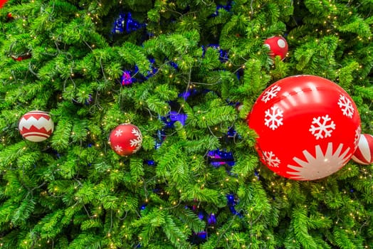 Close-up shot chrismas tree for background.