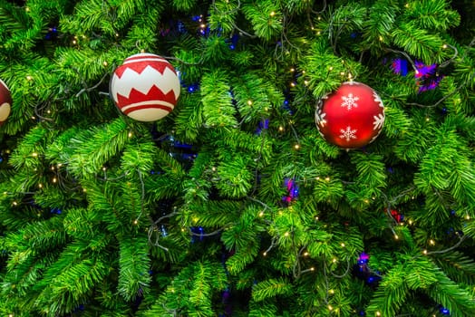 Close-up shot chrismas tree for background.