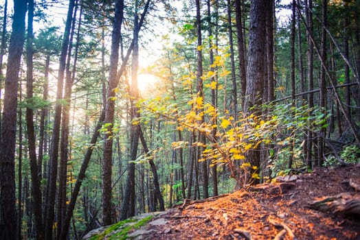 Colorado Nature Trail at Sunrise.