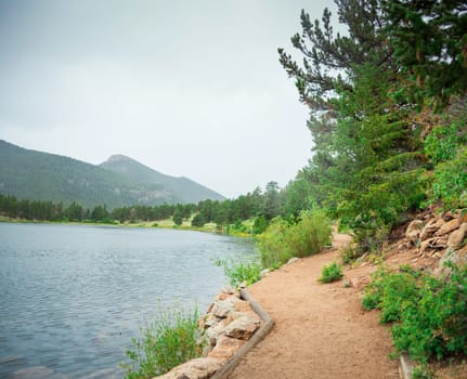 Nature Trail in Colorado in the Summer.