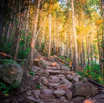 Morning in Colorado in the Summer.