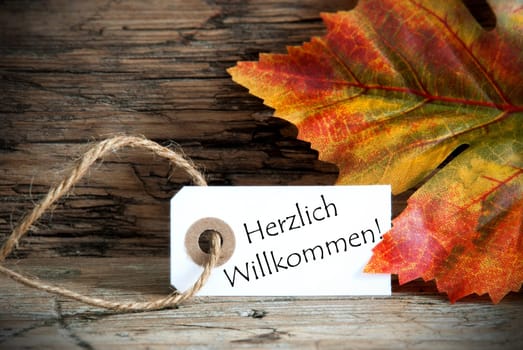 Autumn Background with Label with the German Words Herzlich Willkommen, which means Welcome