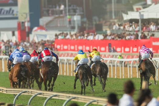 Horse racing action of jockeys races at Greyville racecouse sand and grass for Durban July vodacom cup.