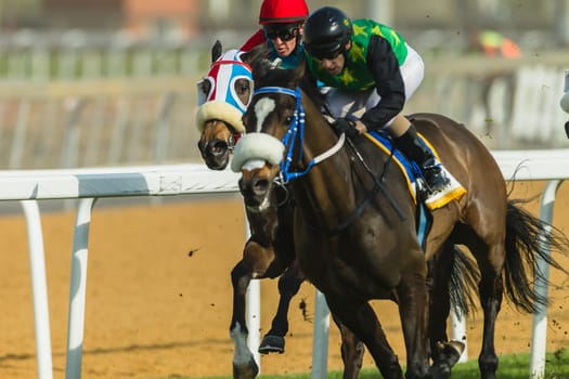 Horse racing action of jockeys races at Greyville racecouse sand and grass for Durban July vodacom cup.