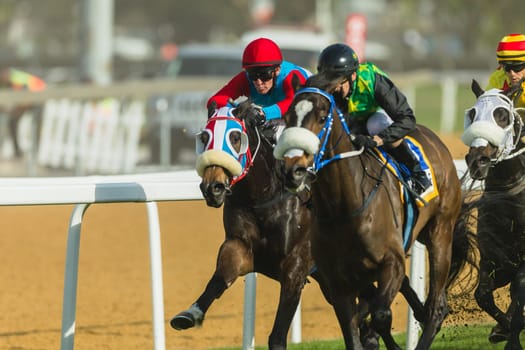 Horse racing action of jockeys races at Greyville racecouse sand and grass for Durban July vodacom cup.