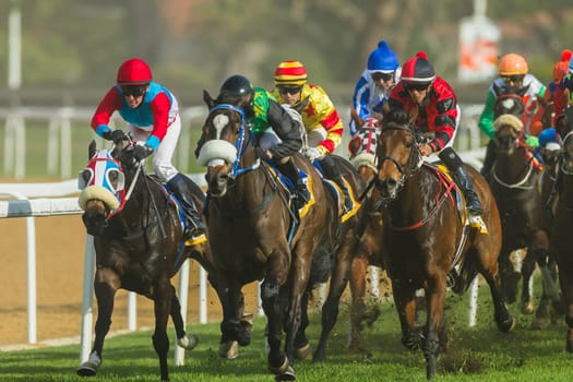 Horse racing action of jockeys races at Greyville racecouse sand and grass for Durban July vodacom cup.