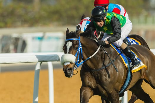 Horse racing action of jockeys races at Greyville racecouse sand and grass for Durban July vodacom cup.