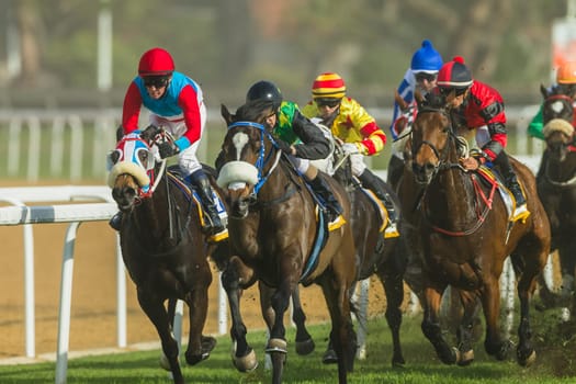 Horse racing action of jockeys races at Greyville racecouse sand and grass for Durban July vodacom cup.