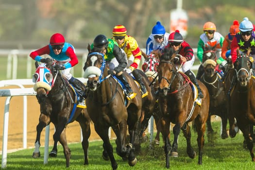 Horse racing action of jockeys races at Greyville racecouse sand and grass for Durban July vodacom cup.
