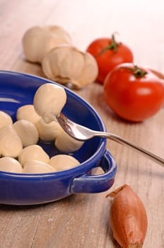 Mozzarella with cooking ingredients