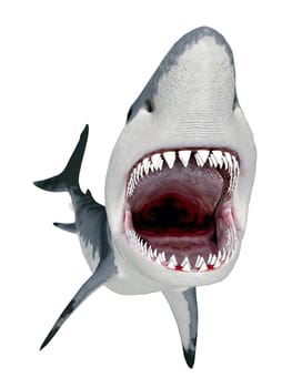 Computer-generated 3D illustration with a great white shark isolated on white background