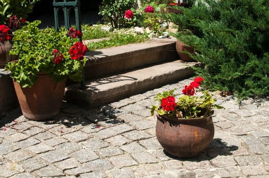 Corner of beautiful home garden details closeup