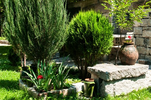 Corner of beautiful home garden details closeup