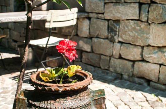 Corner of beautiful home garden details closeup