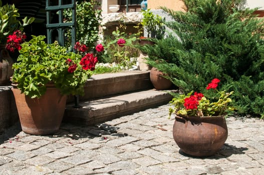 Corner of beautiful home garden details closeup