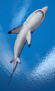 Computer-generated 3D illustration with a great white shark