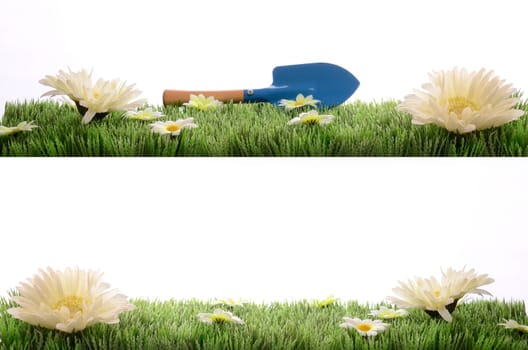 Green grass with flowers,spring time backgrounds over white