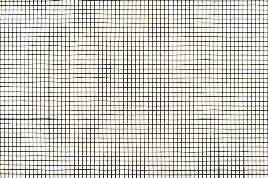 Mosquito wire screen texture on the window