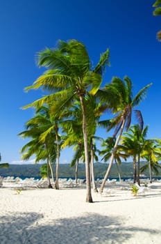 tropical sea and blue sky