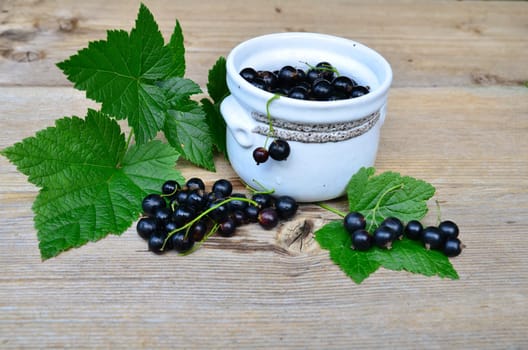 Blackcurrants