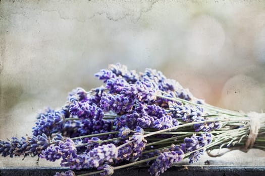Vintage photo of lavender bouquet