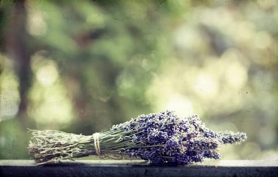 Vintage photo of lavender bouquet