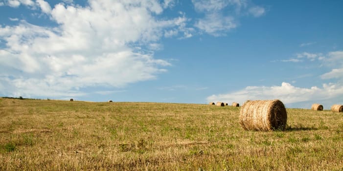 Landscape of Hay-roll on field after harvest