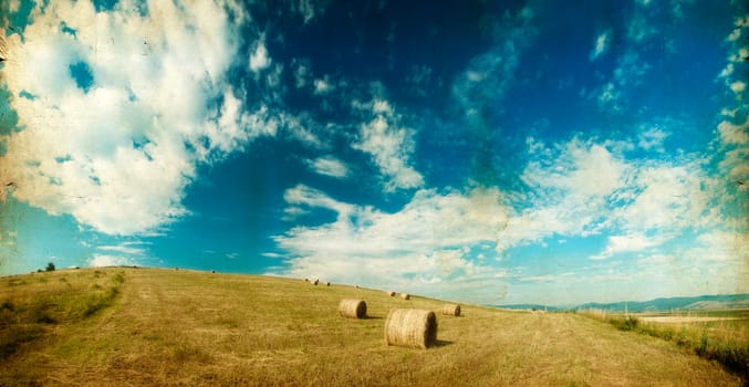 Landscape of Hay-roll on field after harvest