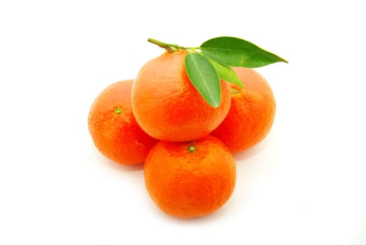 tangerine isolated on a white background