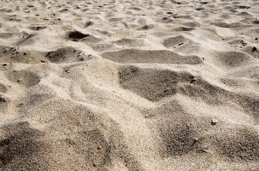 Close up shot of coral sand