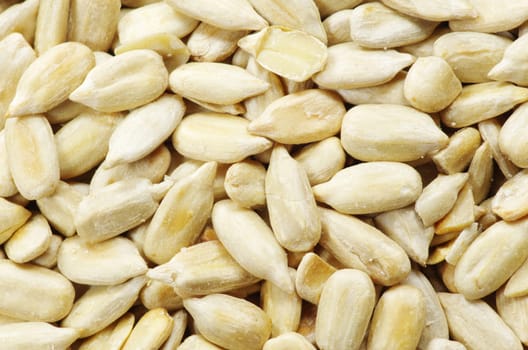 roasted sunflower seeds close up