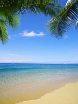 beautiful beach and tropical sea