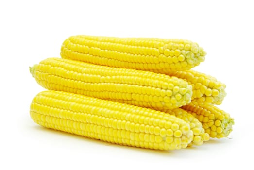Sweet maize isolated on white background