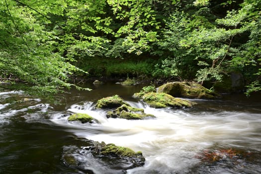 the river Bode in the Harz National Park